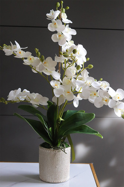 Kulena Tall 2, gumowy storczyk w etno donicy, wys.64cm