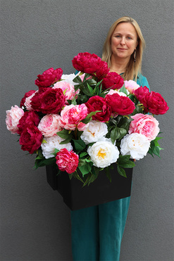 Peonie Home Saute, kompozycja kwiatowa do Twojej donicy, wym.68x70