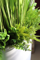 Fiberglass Grande Greeneria, trawa w białej donicy z paprocią, wys.185cm