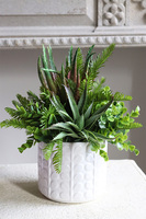 Jerudo C, kompozycja sukulenty w białej donicy, wys.27cm