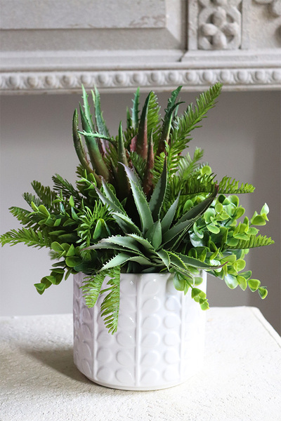 Jerudo C, kompozycja sukulenty w białej donicy, wys.27cm