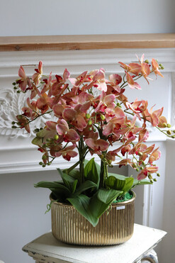 Castellamare Granada Carmello, gumowy storczyk w złotej donicy, wys.59cm