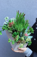 Nord Concrete, kompozycja sukulenty w betonowej donicy