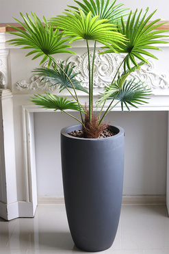 Livistona Concrete, sztuczna palma w betonowej donicy, wys.135cm
