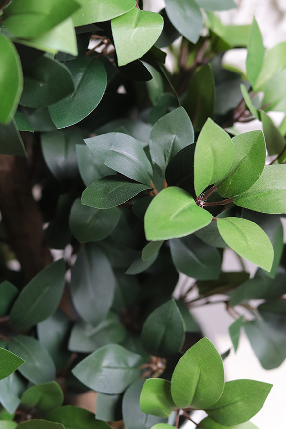 Fikus formowany, sztuczna roślina w doniczce