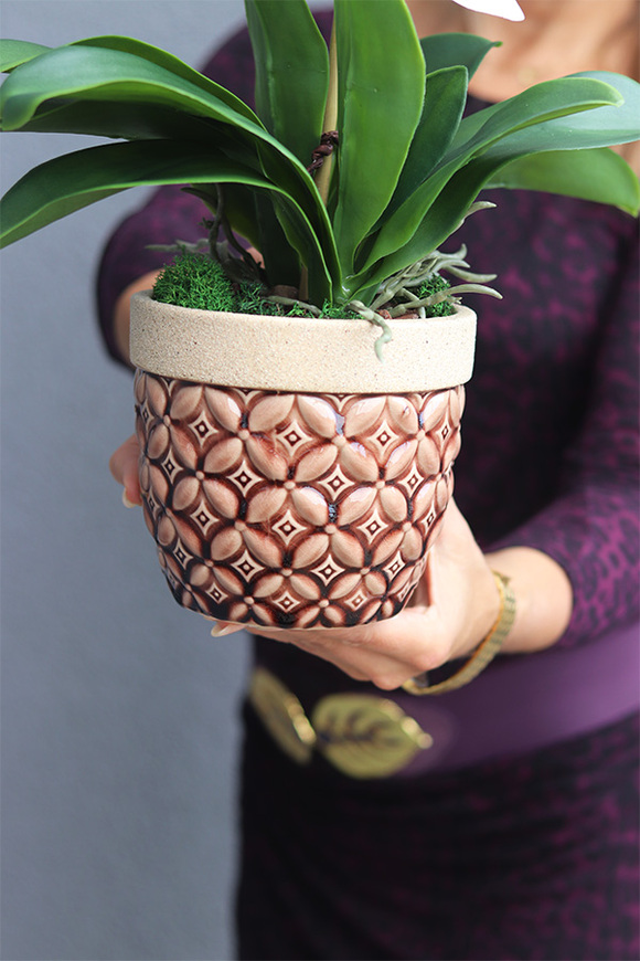 Bedytana 2, gumowy storczyk w brązowej donicy