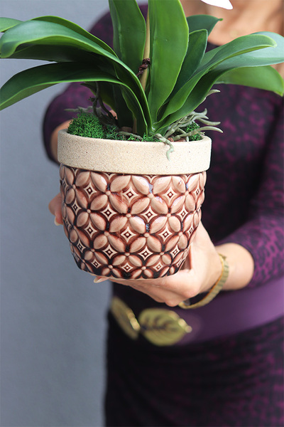 Bedytana 2, gumowy storczyk w brązowej donicy