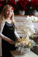 Frozen Orchid, elegancki storczyk zimowy w pucharze