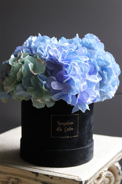 Blueta Mojito, flowerbox niebieskie hortensje