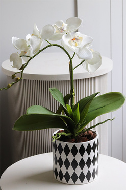 Fornasetta Kier, sztuczny storczyk w ozdobnej donicy, wys.50cm