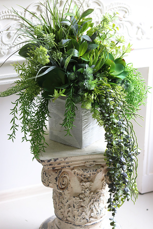 Renoma, zielona kompozycja sukulenty do twojej donicy