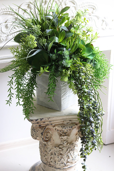 Renoma, zielona kompozycja sukulenty do twojej donicy