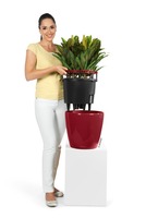 Classico LS, elegancka donica z nawadnianiem, antracyt