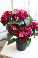 doniczkowa hortensja Wiśniowa, wysokiej jakości sztuczne kwiaty, wys.40cm