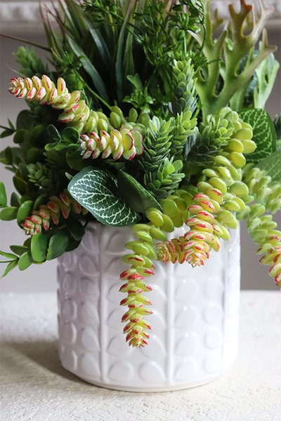 Jerudo B, kompozycja sukulenty w białej donicy, wys.27cm