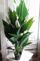 Skrzydłokwiat, sztuczna roślina w osłonce z tworzywa sztucznego, wys.95cm