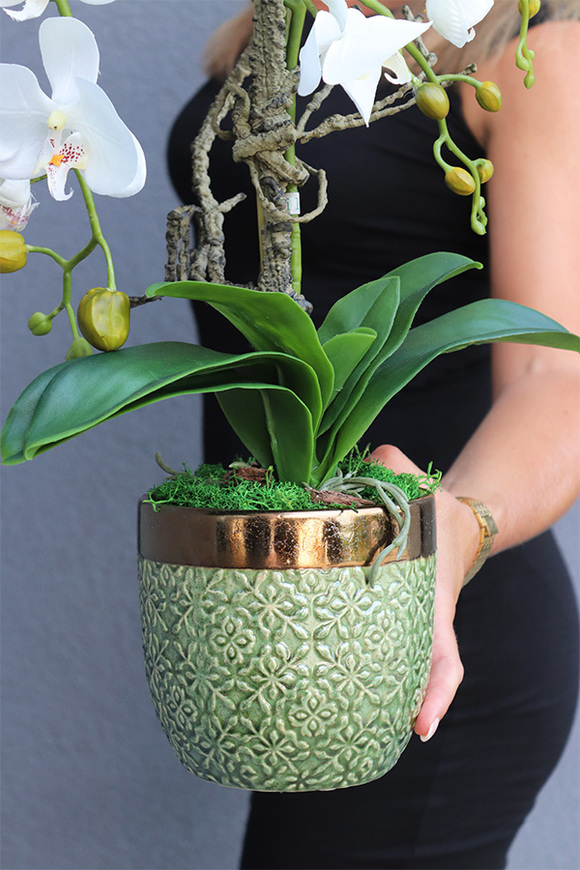 Green Bedua, sztuczny storczyk, wys.58cm