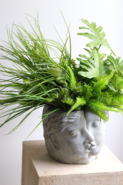 Suculenti Head, efektowna kompozycja sukulenty w głowie