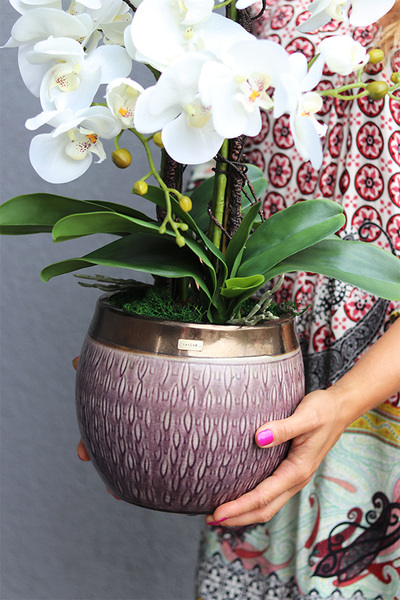 Violesia, sztuczny storczyk w brązowej donicy