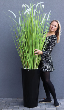 Grande Fiberglass Black Cottage, sztuczna trawa w donicy, wys.199cm 