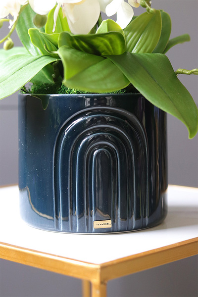 Dark Blue Moment, storczyk w granatowej doniczce