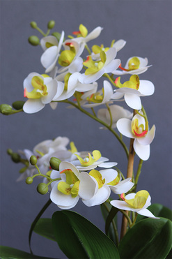 OD RĘKI Nerana, gumowy storczyk w etno donicy, wys.48cm  