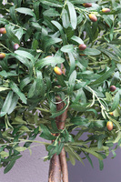  Oliwka Concrete 2, sztuczne drzewko w betonowej donicy