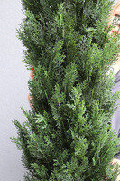 Tuja, drzewko sztuczna roślina w doniczce