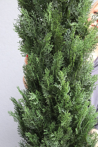 Tuja, drzewko sztuczna roślina w doniczce