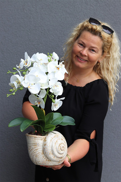 Muszla, sztuczny storczyk w dekoracyjnej donicy, wys.49cm