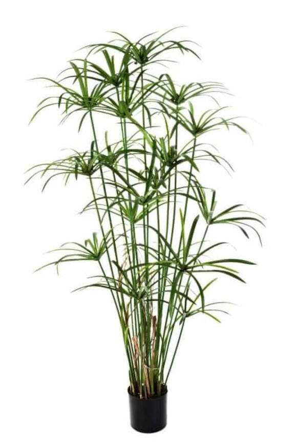 sztuczna trawa / roślina Papirus Premium, wys.155cm