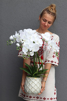 Tilda White Cremona, śnieżnobiały storczyk w ceramicznej donicy