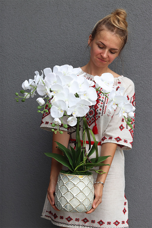 Tilda White Cremona, śnieżnobiały storczyk w ceramicznej donicy