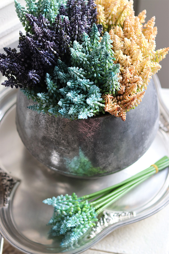 Szafirki, bukiecik turkus