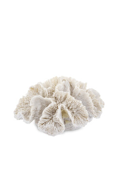 Platygyra B, figurka dekoracyjna koralowiec, wym.7x15x13cm