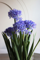 Niebieski Czosnek Ozdobny, sztuczna roślina w plastikowej osłonce