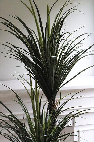 Jukka, wysokiej jakości sztuczna roślina