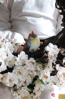 Ptaszek na Jabłoni, wiosenny wianek dekoracyjny