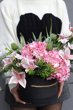 Hortense Poetic, flowerbox z hortensjami, wys.37cm