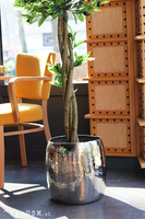 Drzewko Oliwne Deluxe, sztuczna roślina w donicy tendom.pl