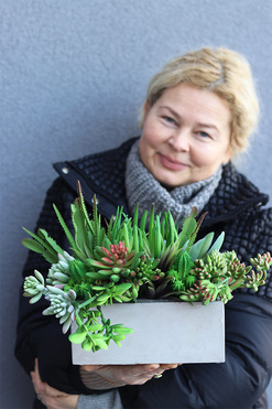 Nord Concrete, kompozycja sukulenty w betonowej donicy, wys.23cm