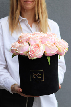 Pudrovy Benita, czarny różany flowerbox, wys.38cm