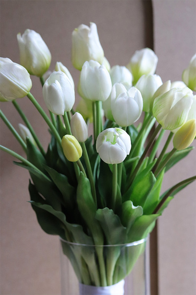 Tulip Glasso, tulipany w szkle