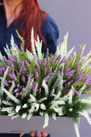 Wrzosy Lechuza, kompozycja kwiatowa w wysokiej jakości donicy - skrzynce, wym.60x40x40cm