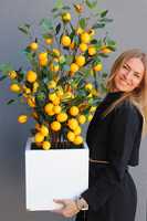 Limone Fiberglass, sztuczne drzewko cytrynowe w donicy