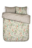 Marigold Essenza, pościel bawełna satynowa	