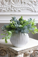 Antylla Marino Shell, kompozycja sukulenty w muszli