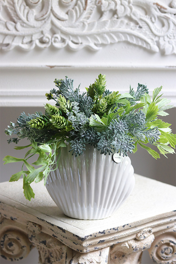 Antylla Marino Shell, kompozycja sukulenty w muszli