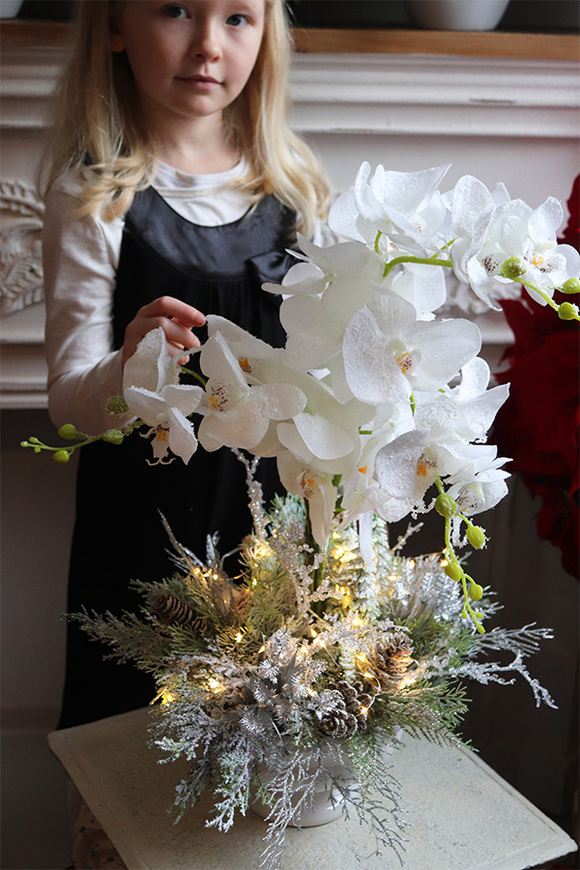 Frozen Orchid, elegancki storczyk zimowy w pucharze