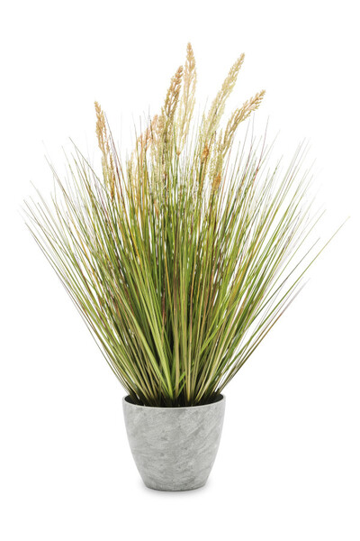 Kasandra, sztuczna trawa z kłosami, wys.76x54cm